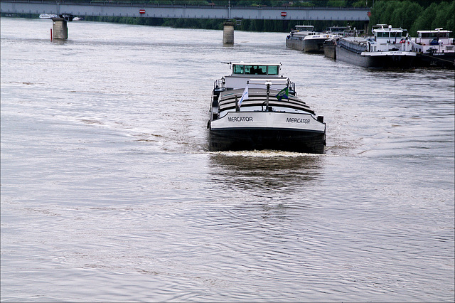 Crue Seine-phn92677-juin2016