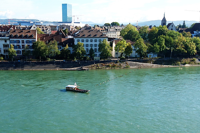 Rheingierseilfähre vom Fähribödeli gesehen