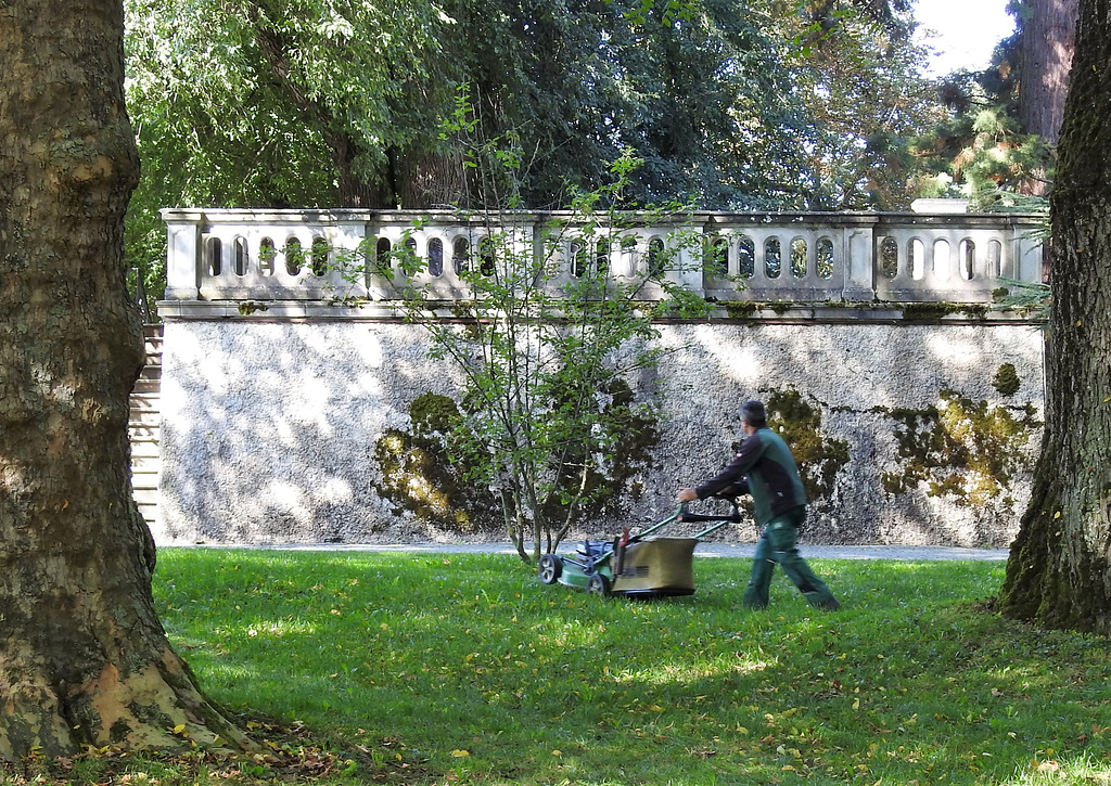 Parkpflege auf Mainau