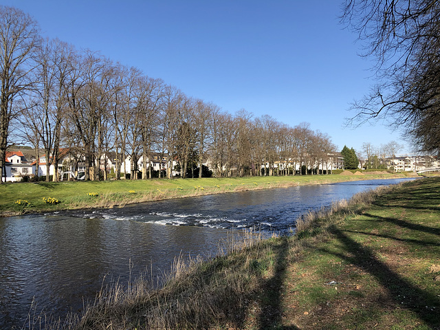 Frühling an der Ahr