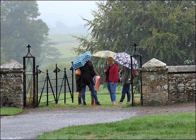 "Buckets of Rain"