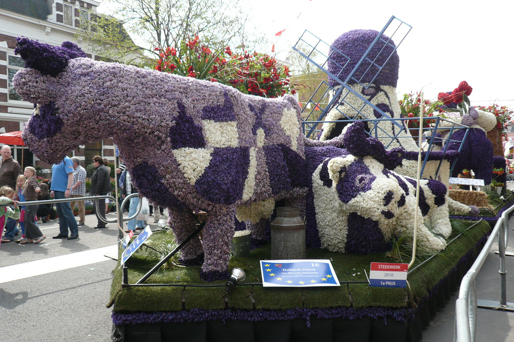 Bloemencorso Float