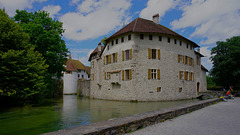 Wasser-Schloss Hallwyl AG