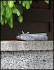 Another shoe on the wall (◕‿-)