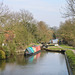 Stratford Canal from Bridge 30