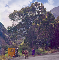 A not quite open gate  and fence, in Churin, Perú