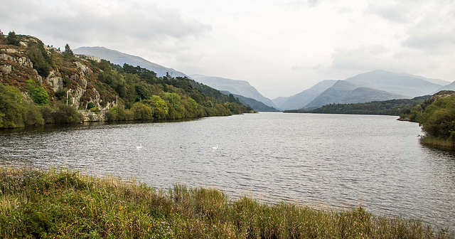 Lake Padarn on a misty day