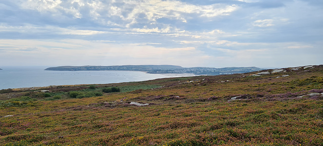 Llanbedrog viewpoint