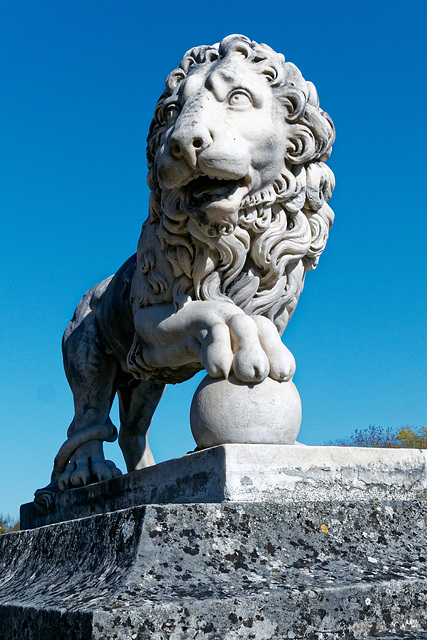 "Lion" (Copie d'antique - 18e siècle)