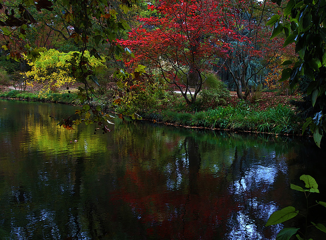 L'automne