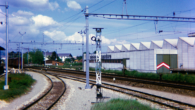 730000 Gland disque manoeuvre