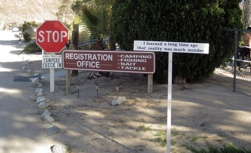 Joshua Tree Lake Campground (3083)