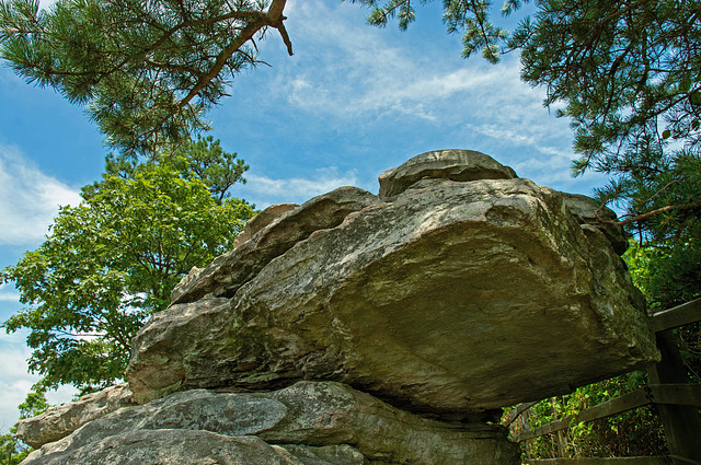 Up on Pilot Mountain