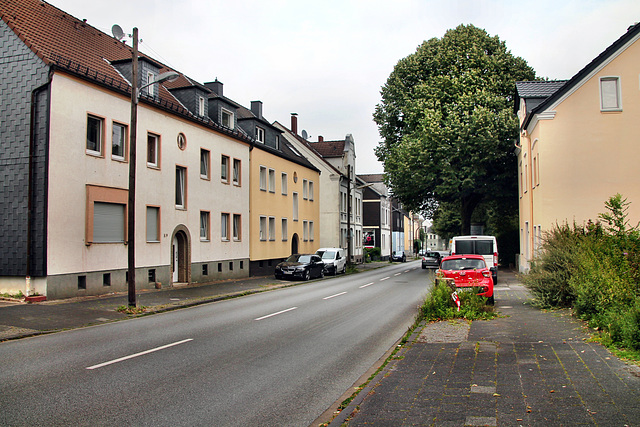 Castroper Hellweg (Bochum-Gerthe) / 3.08.2024