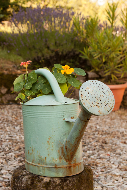 Watering can flower pot