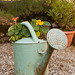 Watering can flower pot