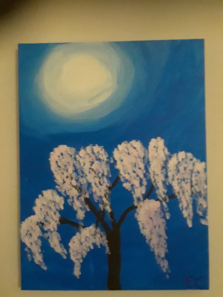 Cherry blossom in the moonlight