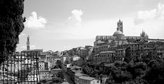 fence on a famous panorama - HFF everyone!