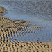 Sand Patterns