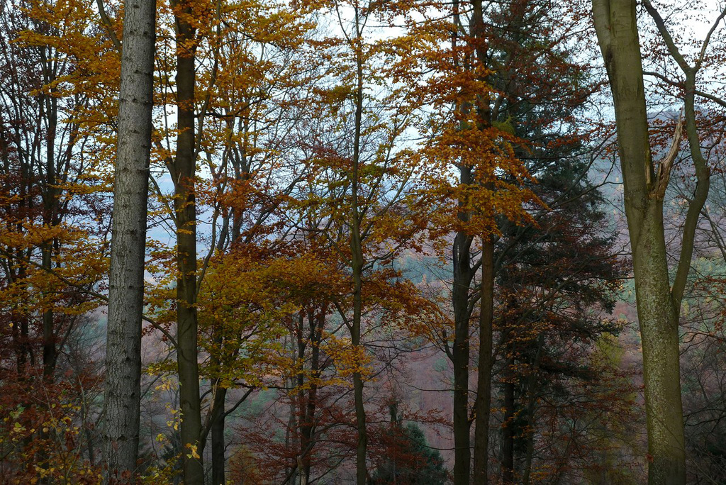 Bergblick