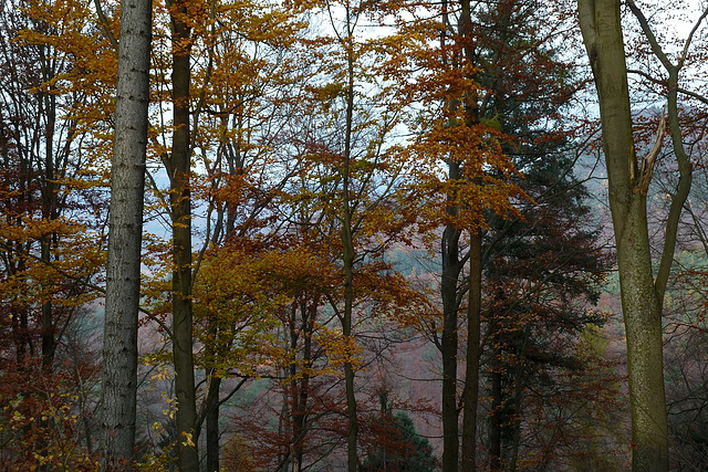 Bergblick