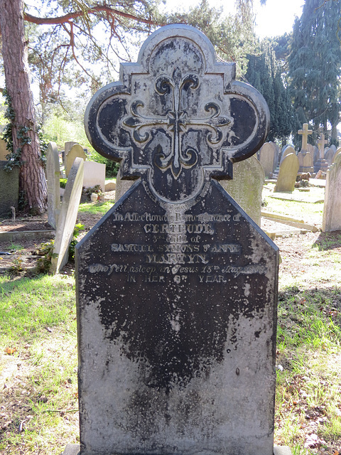 great northern cemetery, southgate, london