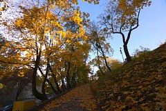 Herbstlicher Morgen in Lemberg