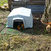 giant cat and tractor shed