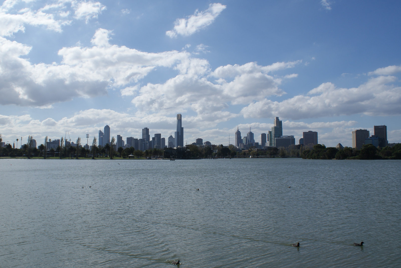 Melbourne Skyline From Albert Park