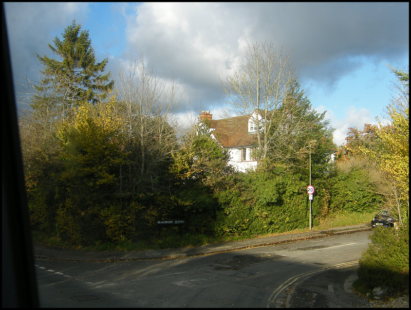 corner of Blandford Avenue