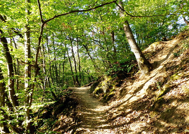 DE - Altenahr - Wanderung