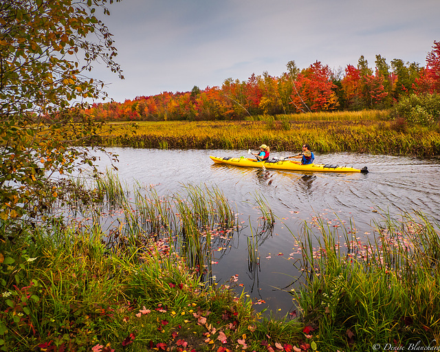 Kayakistes zen.