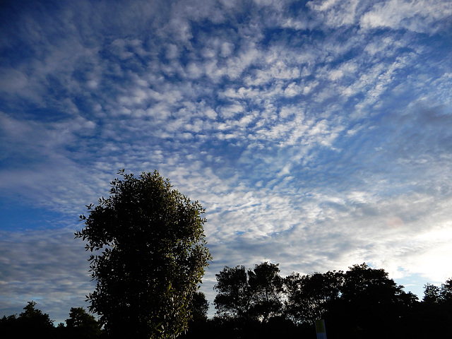 ciel du couchant