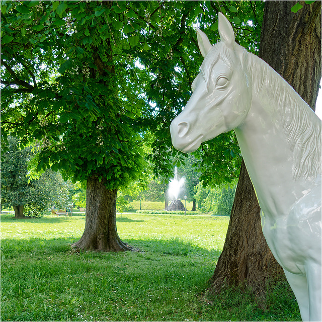 Das Frühjahrsmeeting steht bevor 02 Das Frühjahrsmeeting steht bevor 02