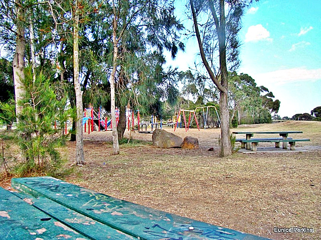 Reserve playground