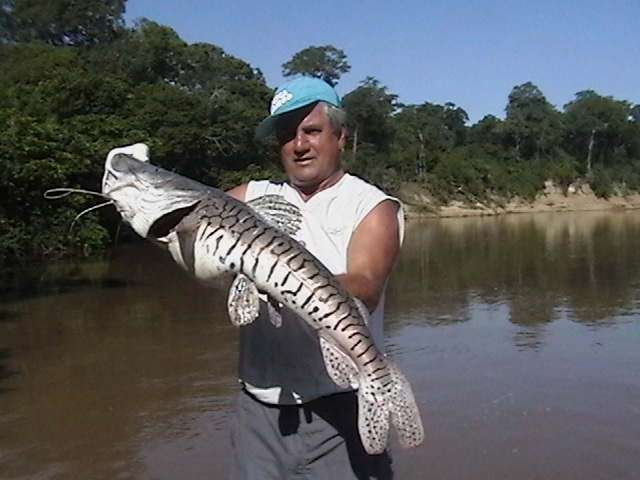 pesca esportiva