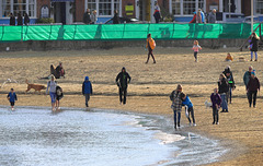 EOS 90D Peter Harriman 12 57 21 88121 beachLarks dpp