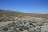 IMG 9250