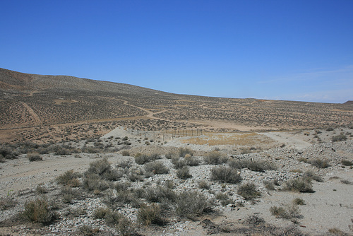 IMG 9250