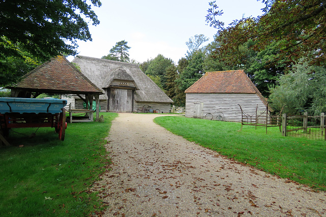 weald and downland museum, sussex