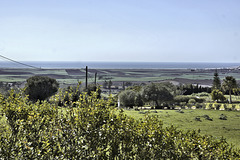 Looking Seawards – Viewed from Hotel Sindhura, Vejer de la Frontera, Cádiz Province, Andalucía, Spain Looking Seawards – Viewed from Hotel Sindhura, Vejer de la Frontera, Cádiz Province, Andalucía, Spain