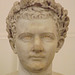 Detail of the Bust of the Emperor Domitian in the Naples Archaeological Museum, July 2012