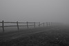 Zaun im Nebel