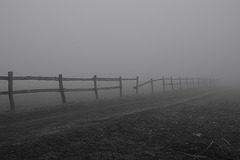 Zaun im Nebel