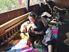 boat trip on Lake Inle