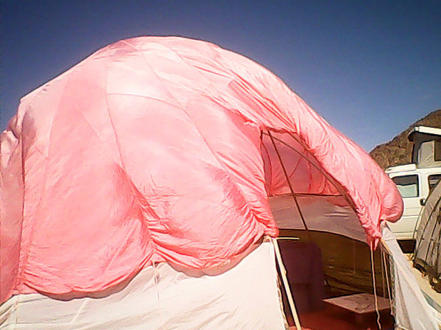 Pink Parachute (0038)