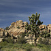 Joshua Tree National Park