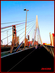 Le Pont Érasme (Erasmusbrug), Rotterdam !