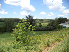 Paysage douanier / Customs landscape