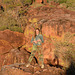 Namibia, Among the Cliffs of the Waterberg Plateau